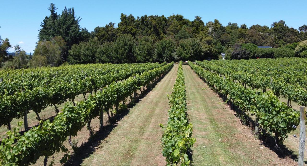 Pirita Vineyard Cottage. Upper Moutere Exterior foto